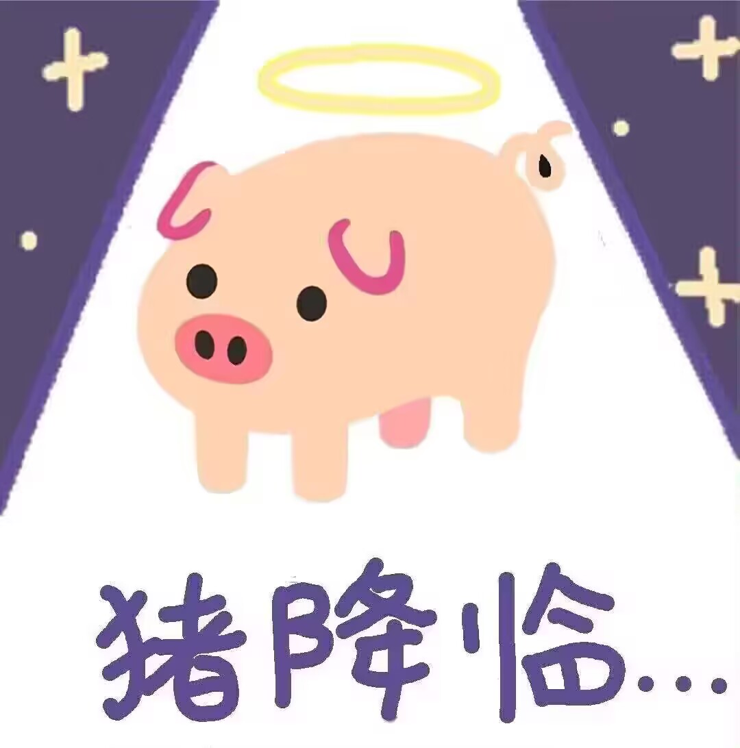 猪降临
